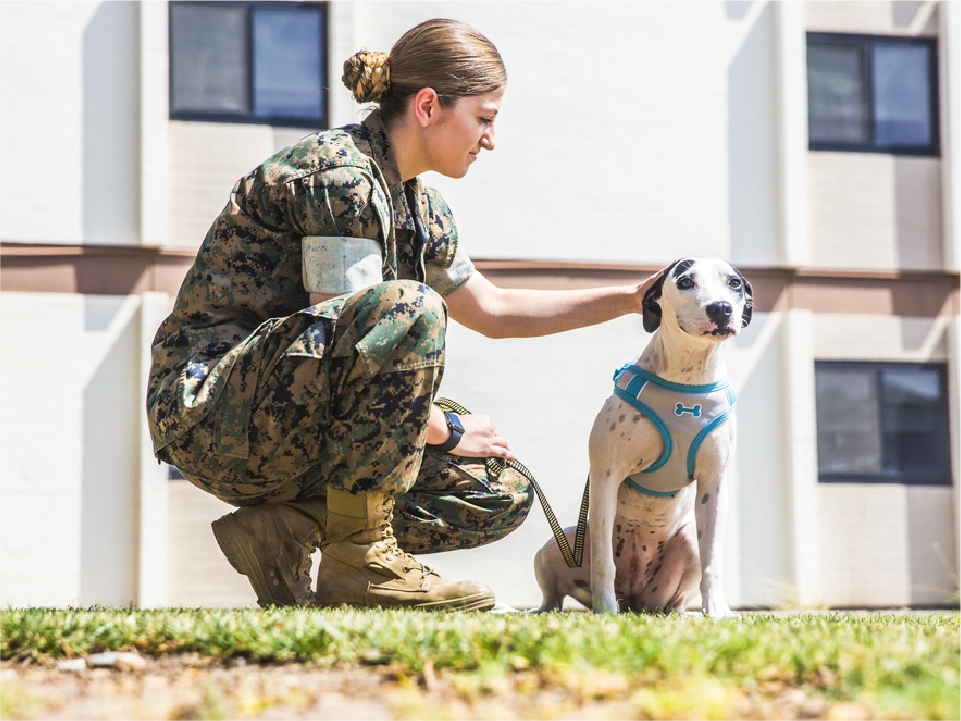 Vel illum qui helorem eum Vel illum ?