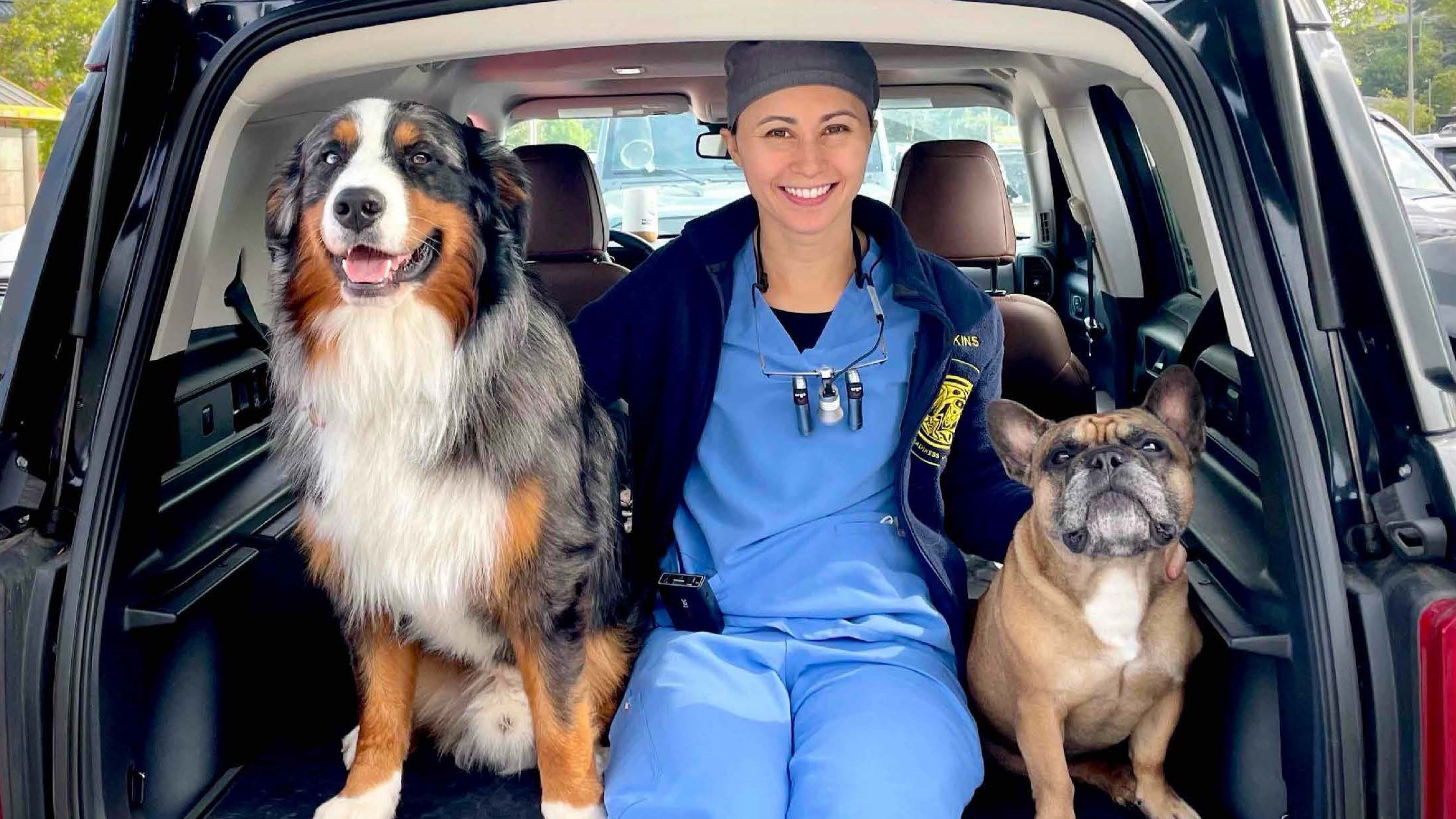 Vet staff with tow dogs